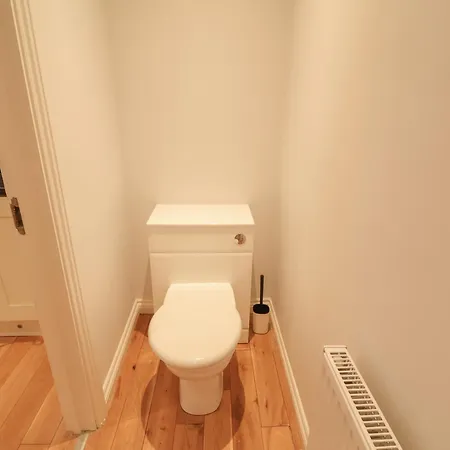 Spring Rose * 비데일